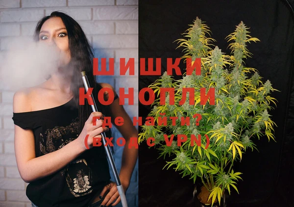 PSILOCYBIN Каменск-Шахтинский