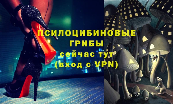 ешки Каменка