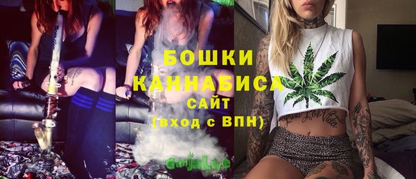 PSILOCYBIN Каменск-Шахтинский
