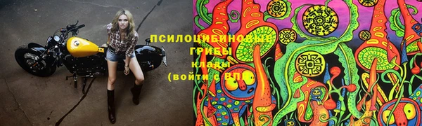 ALPHA PVP Каменногорск