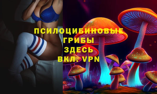 PSILOCYBIN Каменск-Шахтинский